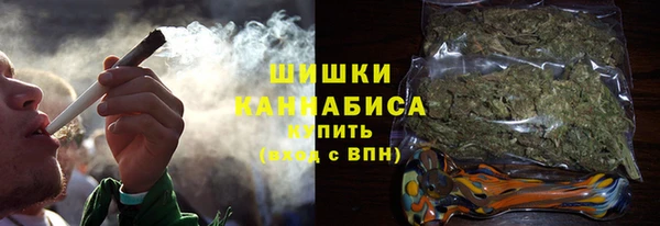 крисы Верхний Тагил