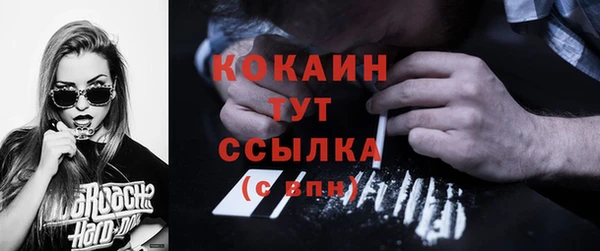 прущие грибы Володарск