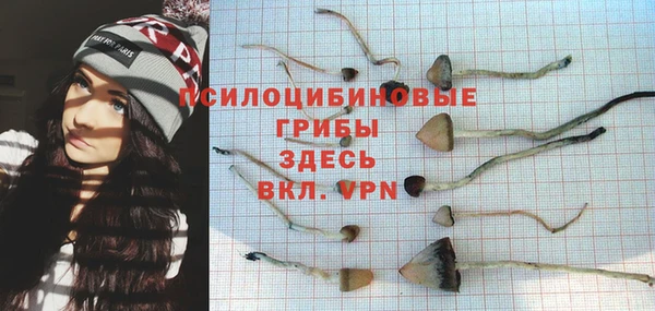 прущие грибы Володарск