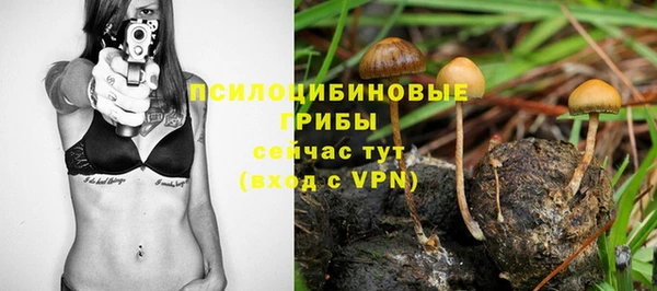 2c-b Волосово