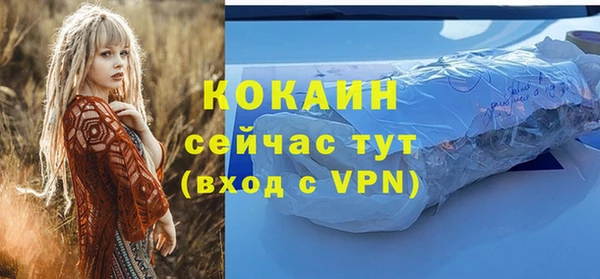 прущие грибы Володарск