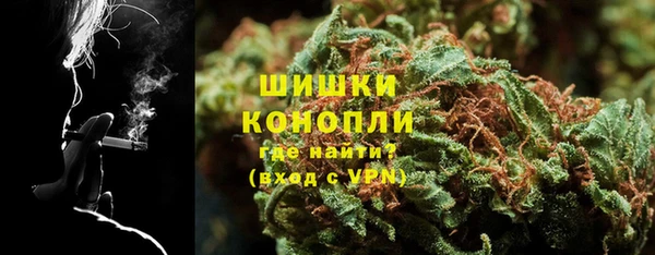 прущие грибы Володарск